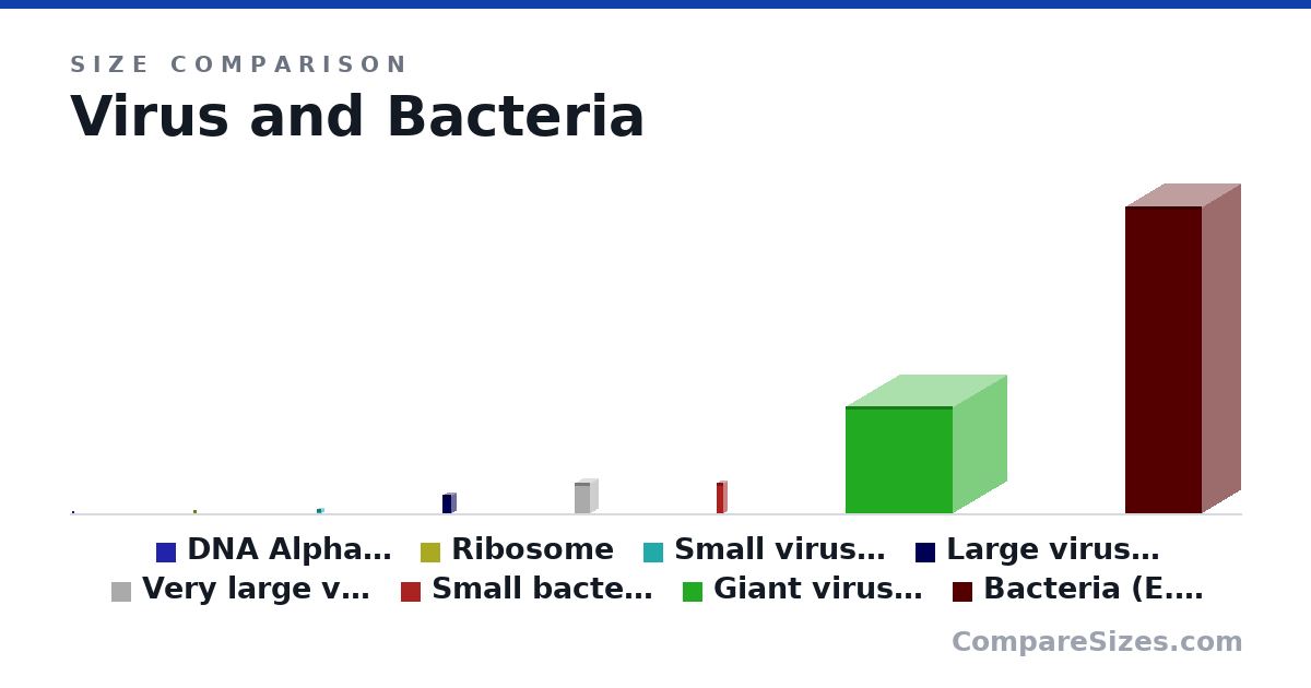 Size comparison of DNA Alpha Helix (2 × 2 × 2 nm), Ribosome (20.0 × 20.0 × 20.0 nm), Small virus (Picornaviruses) (30.0 × 30.0 × 30.0 nm), Large virus (Orthomyxoviruses) (120 × 60.0 × 60.0 nm), Very large virus (Rhabdoviruses, Paramyxoviruses) (200 × 100 × 100 nm), Small bacteria (Mycoplasma) (200 × 40.0 × 40.0 nm), and 2 more, drawn to scale