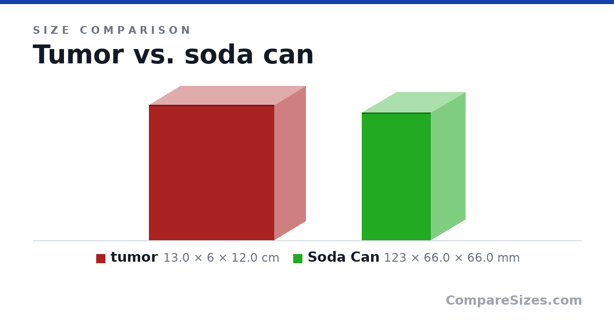 Size comparison of tumor (13.0 × 6 × 12.0 cm) and Soda Can (123 × 66.0 × 66.0 mm), drawn to scale