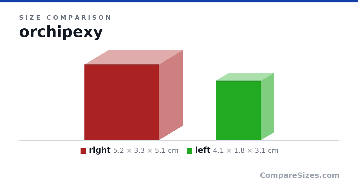 Size comparison of right (5.2 × 3.3 × 5.1 cm) and left (4.1 × 1.8 × 3.1 cm), drawn to scale