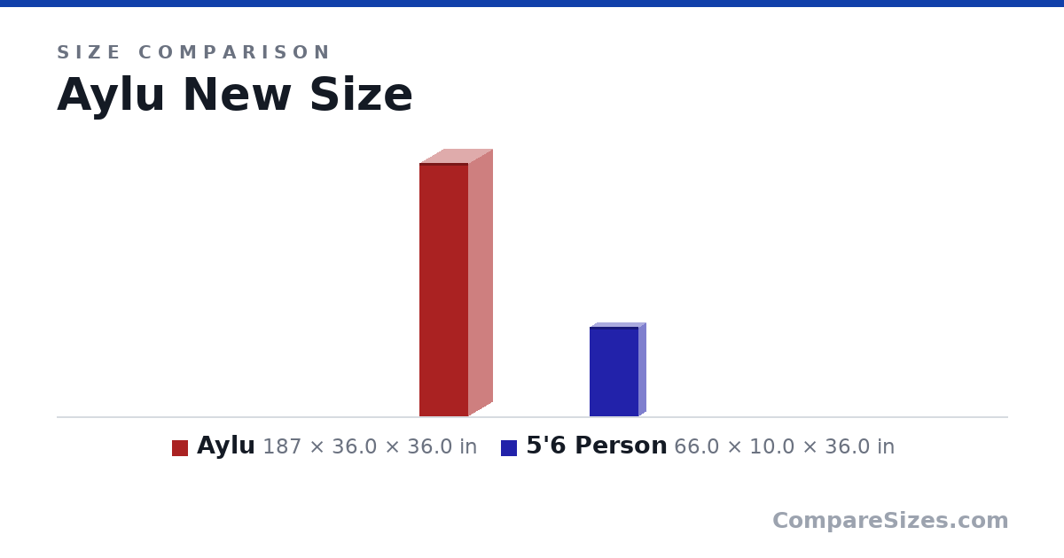 Size comparison of Aylu (187 × 36.0 × 36.0 in) and 5'6 Person (66.0 × 10.0 × 36.0 in), drawn to scale