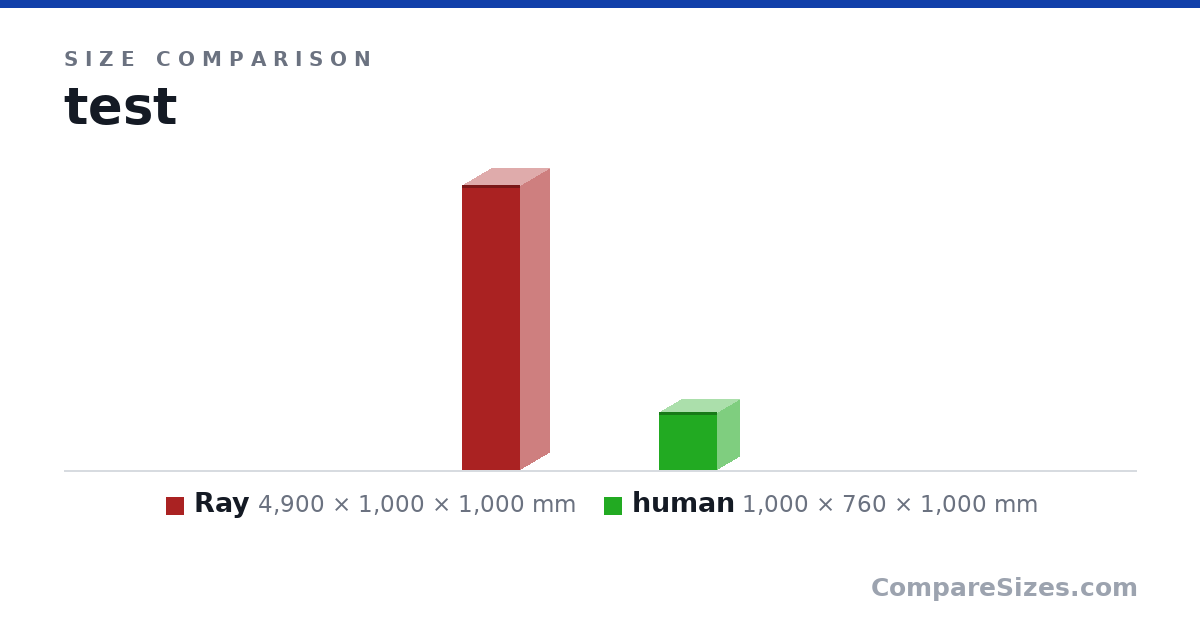 Size comparison of Ray (4,900 × 1,000 × 1,000 mm) and human (1,000 × 760 × 1,000 mm), drawn to scale