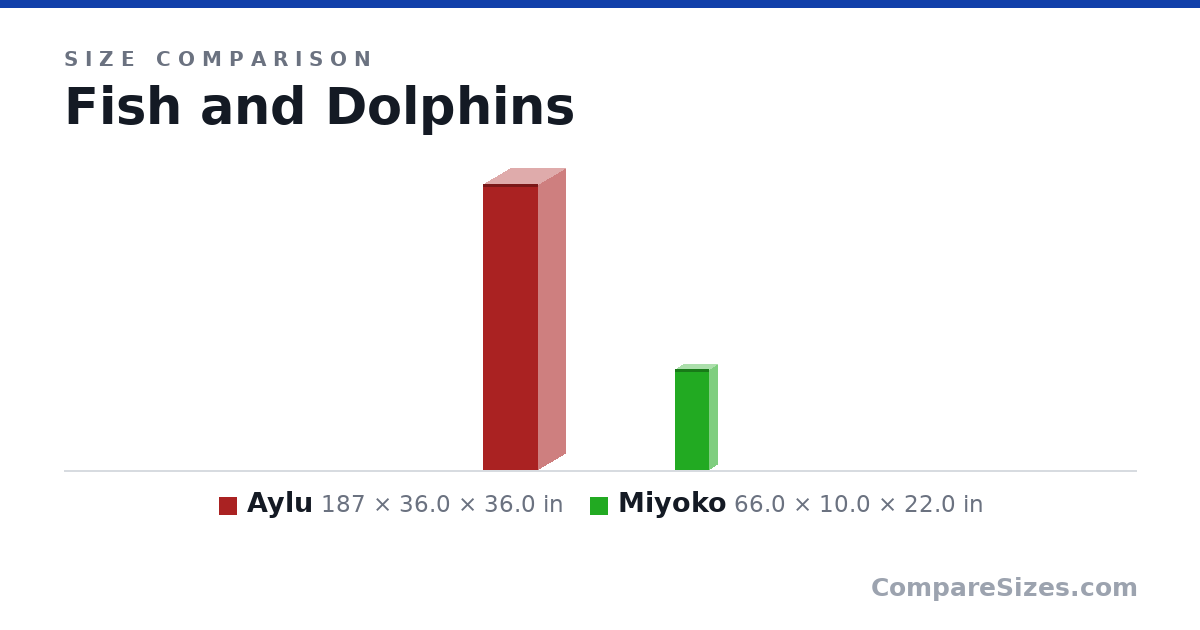 Size comparison of Aylu (187 × 36.0 × 36.0 in) and Miyoko (66.0 × 10.0 × 22.0 in), drawn to scale