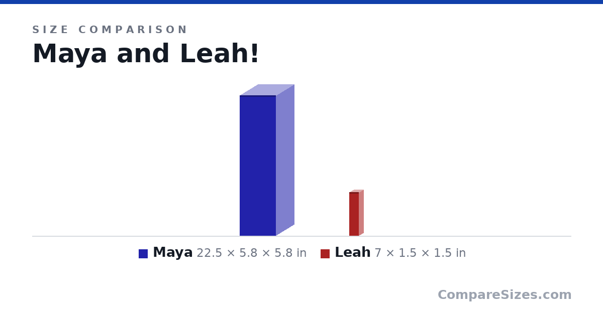 Size comparison of Maya (22.5 × 5.8 × 5.8 in) and Leah (7 × 1.5 × 1.5 in), drawn to scale