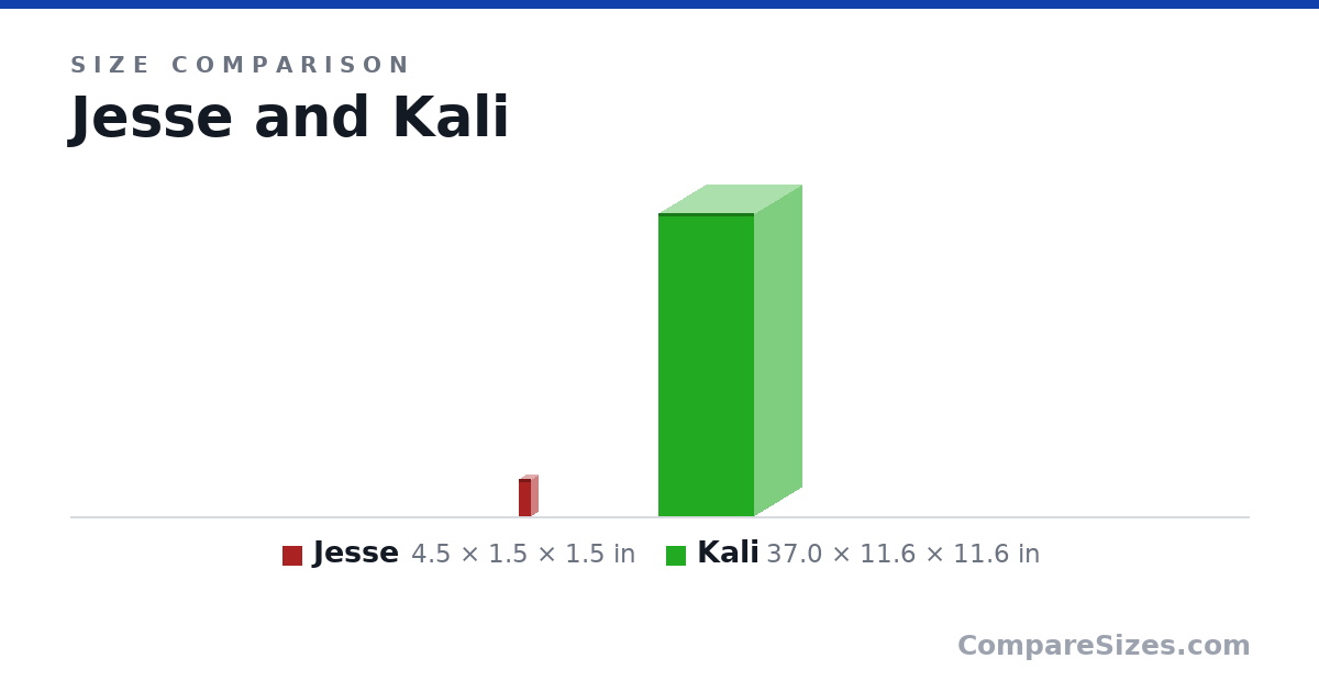 Size comparison of Jesse (4.5 × 1.5 × 1.5 in) and Kali (37.0 × 11.6 × 11.6 in), drawn to scale