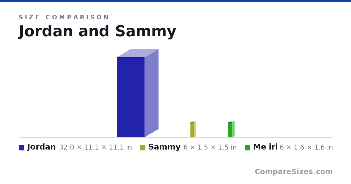 Size comparison of Jordan (32.0 × 11.1 × 11.1 in), Sammy (6 × 1.5 × 1.5 in) and Me irl (6 × 1.6 × 1.6 in), drawn to scale