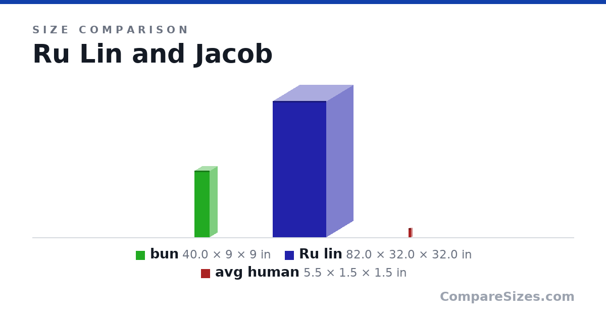 Size comparison of bun (40.0 × 9 × 9 in), Ru lin (82.0 × 32.0 × 32.0 in) and avg human (5.5 × 1.5 × 1.5 in), drawn to scale