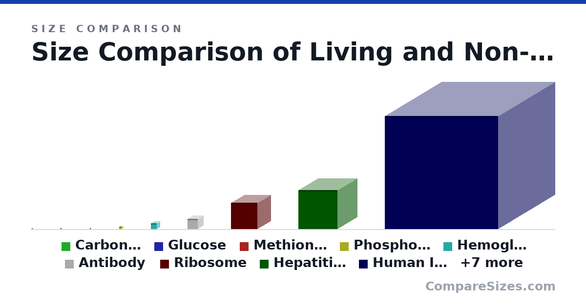 Size comparison of Carbon Atom (0.34 × 0.34 × 0.34 nm), Glucose (0.9 × 0.9 × 0.9 nm), Methionine Molecule (1 × 1 × 1 nm), Phospholipid (3 × 3 × 3 nm), Hemoglobin (6.5 × 6.5 × 6.5 nm), Antibody (12.0 × 12.0 × 12.0 nm), and 10 more, drawn to scale