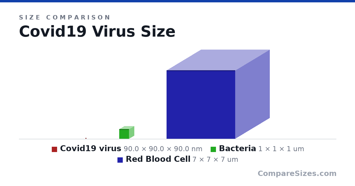 Size comparison of Covid19 virus (90.0 × 90.0 × 90.0 nm), Bacteria (1 × 1 × 1 um) and Red Blood Cell (7 × 7 × 7 um), drawn to scale