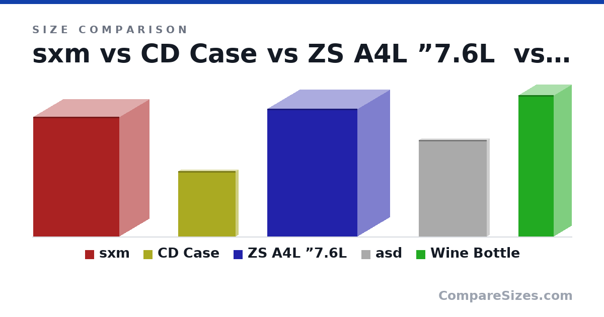 Size comparison of sxm (260 × 130 × 187 mm), CD Case (142 × 9.91 × 125 mm), ZS A4L ”7.6L (277 × 140 × 196 mm), asd (210 × 148 × 10.0 mm) and Wine Bottle (307 × 76.7 × 76.7 mm), drawn to scale