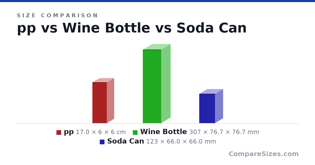 Size comparison of pp (17.0 × 6 × 6 cm), Wine Bottle (307 × 76.7 × 76.7 mm) and Soda Can (123 × 66.0 × 66.0 mm), drawn to scale