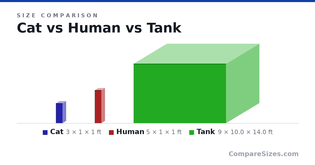 Size comparison of Cat (3 × 1 × 1 ft), Human (5 × 1 × 1 ft) and Tank (9 × 10.0 × 14.0 ft), drawn to scale