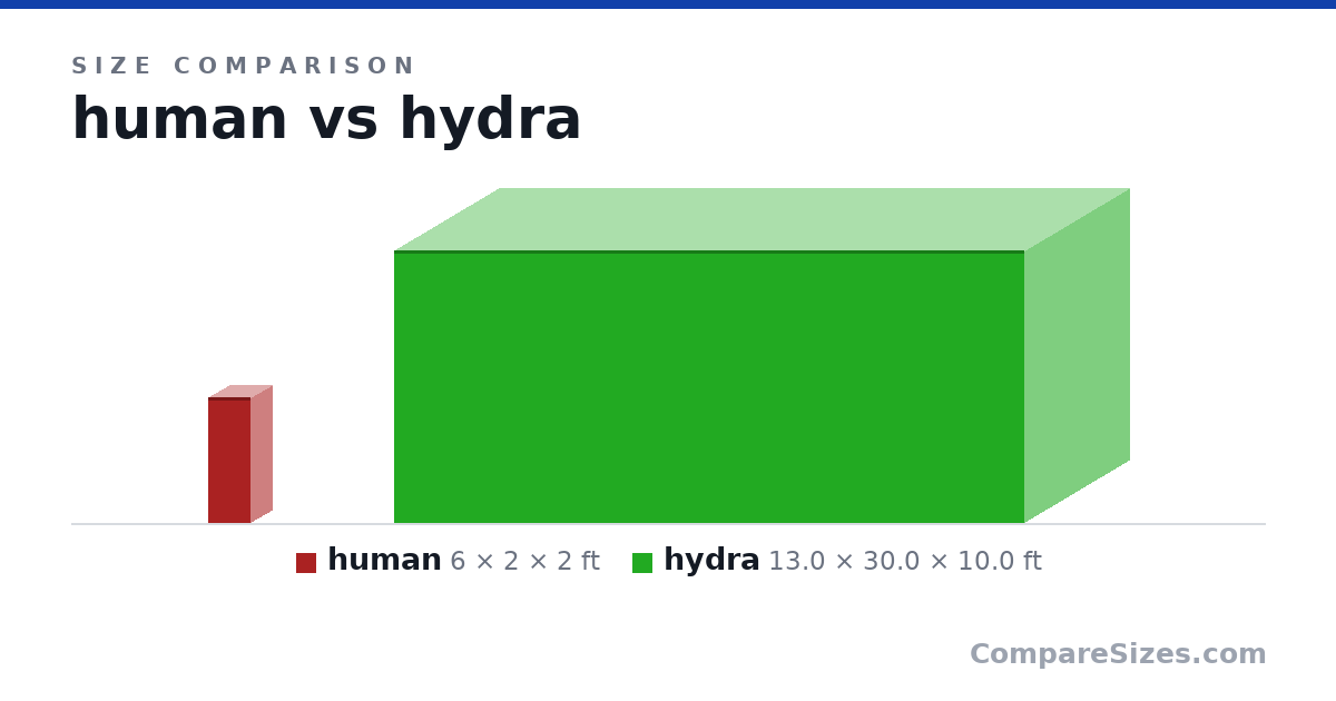 Size comparison of human (6 × 2 × 2 ft) and hydra (13.0 × 30.0 × 10.0 ft), drawn to scale