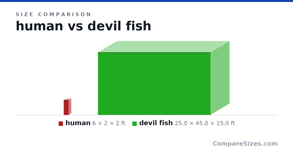 Size comparison of human (6 × 2 × 2 ft) and devil fish (25.0 × 45.0 × 15.0 ft), drawn to scale