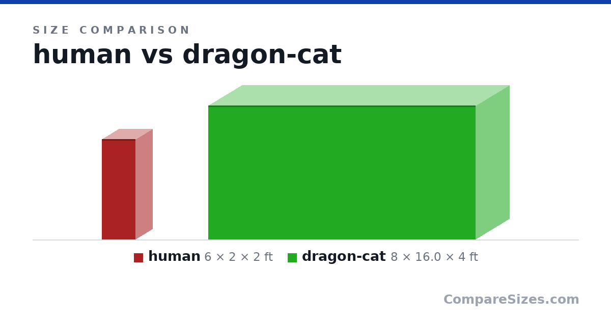 Size comparison of human (6 × 2 × 2 ft) and dragon-cat (8 × 16.0 × 4 ft), drawn to scale
