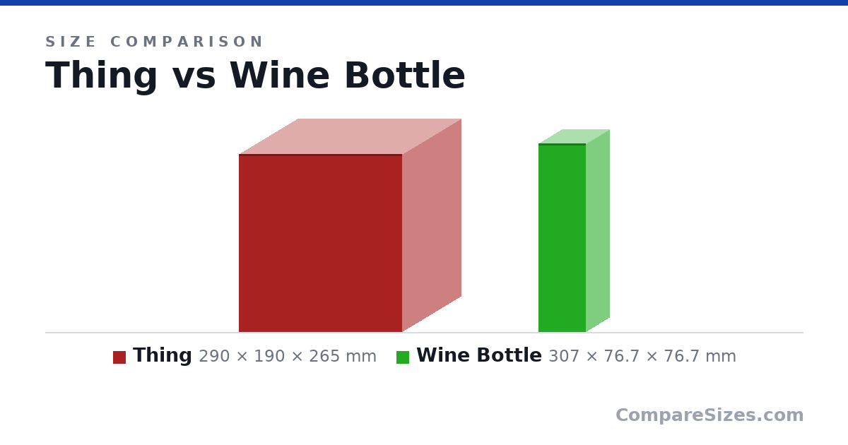 Size comparison of Thing (290 × 190 × 265 mm) and Wine Bottle (307 × 76.7 × 76.7 mm), drawn to scale