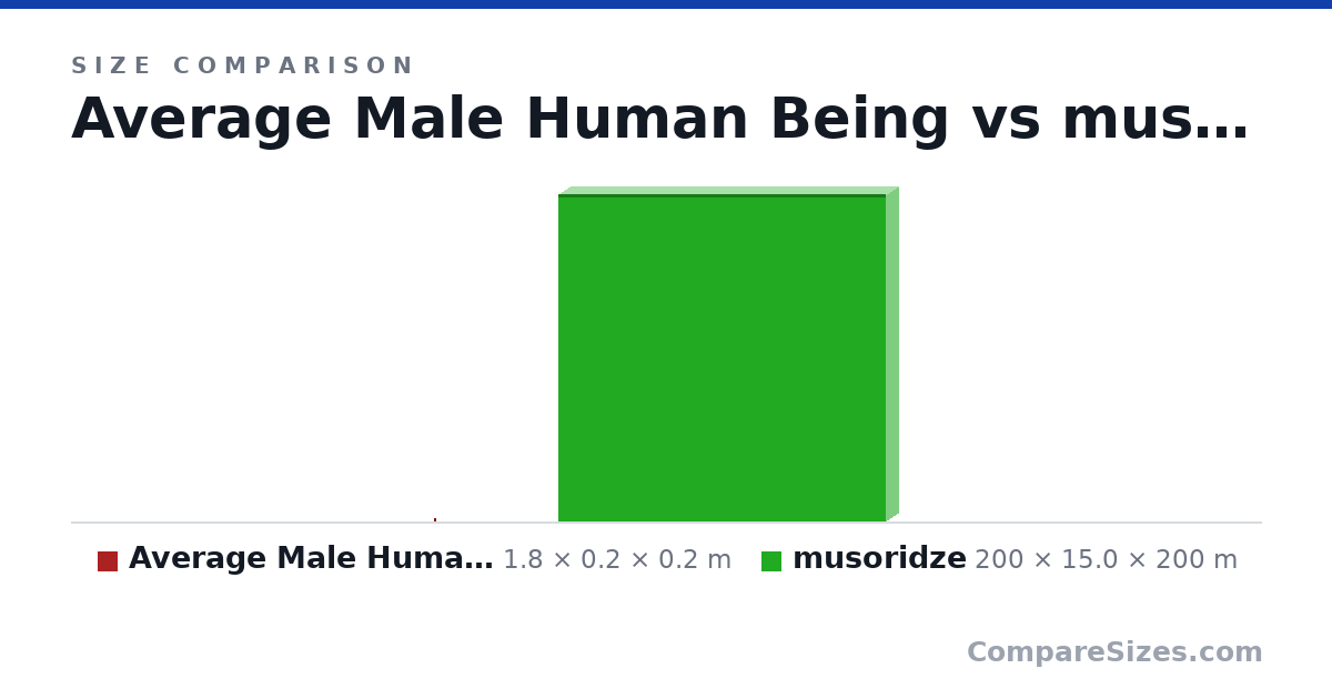 Size comparison of Average Male Human Being (1.8 × 0.2 × 0.2 m) and musoridze (200 × 15.0 × 200 m), drawn to scale