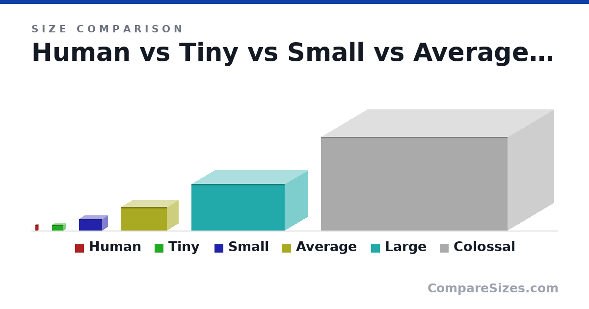 Size comparison of Human (2 × 1 × 1 m), Tiny (2 × 2 × 4 m), Small (4 × 4 × 8 m), Average (8 × 8 × 16.0 m), Large (16.0 × 16.0 × 32.0 m) and Colossal (32.0 × 32.0 × 64.0 m), drawn to scale