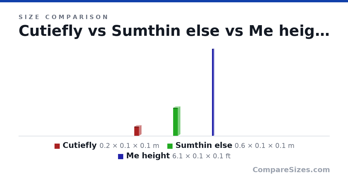 Size comparison of Cutiefly (0.2 × 0.1 × 0.1 m), Sumthin else (0.6 × 0.1 × 0.1 m) and Me height (6.1 × 0.1 × 0.1 ft), drawn to scale