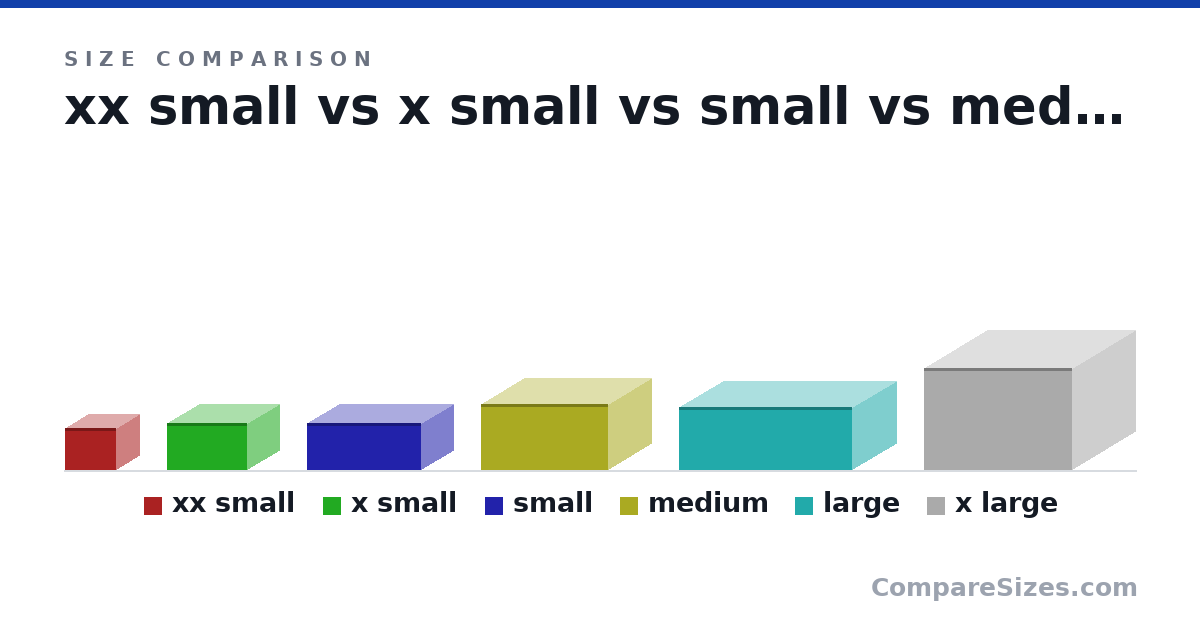 Size comparison of xx small (10.0 × 12.0 × 11.0 cm), x small (11.0 × 19.0 × 15.0 cm), small (11.0 × 27.0 × 15.0 cm), medium (15.5 × 30.0 × 20.5 cm), large (15.0 × 41.0 × 21.0 cm) and x large (24.0 × 35.0 × 30.0 cm), drawn to scale