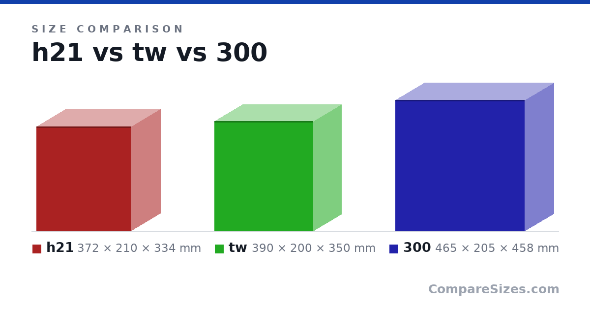 Size comparison of h21 (372 × 210 × 334 mm), tw (390 × 200 × 350 mm) and 300 (465 × 205 × 458 mm), drawn to scale