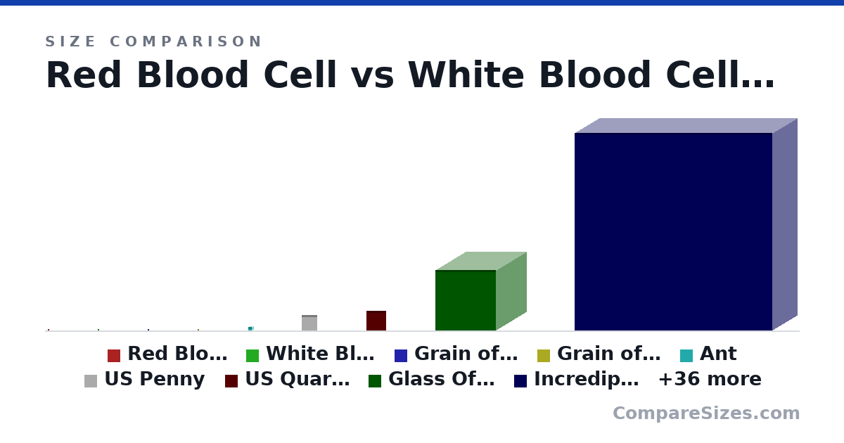 Size comparison of Red Blood Cell (0 × 0 × 0 m), White Blood Cell (0 × 0 × 0 m), Grain of salt/sand (500 × 500 × 500 um), Grain of Rice (2 × 2 × 2 mm), Ant (0 × 0 × 0 m), US Penny (19.1 × 1.75 × 19.1 mm), and 39 more, drawn to scale
