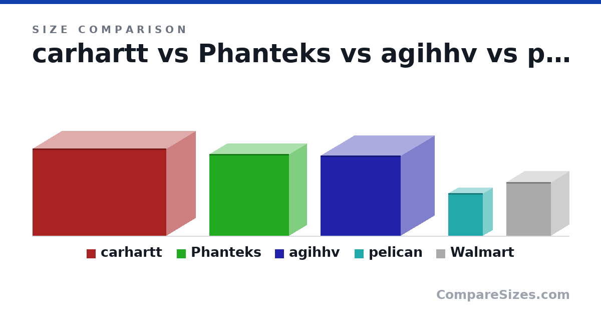 Size comparison of carhartt (19.5 × 13.0 × 30.0 in), Phanteks (18.3 × 7.87 × 17.9 in), agihhv (18.0 × 15.0 × 18.0 in), pelican (9.5 × 4.3 × 7.8 in) and Walmart (12.0 × 8 × 10.0 in), drawn to scale
