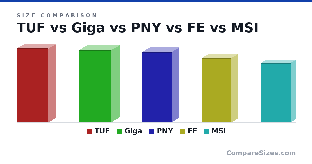 Size comparison of TUF (348 × 72.6 × 150 mm), Giga (340 × 75.2 × 150 mm), PNY (13.1 × 2.8 × 5.39 in), FE (304 × 61.0 × 137 mm) and MSI (280 × 43.0 × 140 mm), drawn to scale