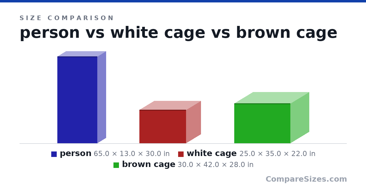 Size comparison of person (65.0 × 13.0 × 30.0 in), white cage (25.0 × 35.0 × 22.0 in) and brown cage (30.0 × 42.0 × 28.0 in), drawn to scale