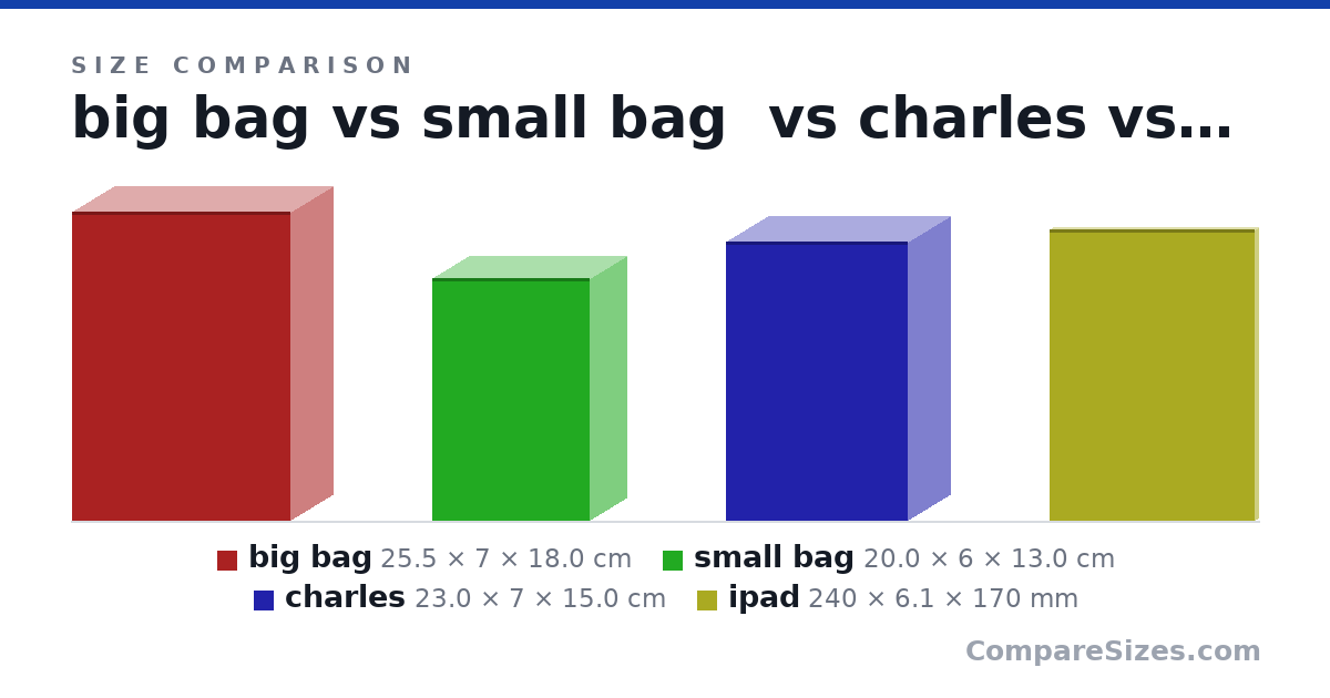 Size comparison of big bag (25.5 × 7 × 18.0 cm), small bag (20.0 × 6 × 13.0 cm), charles (23.0 × 7 × 15.0 cm) and ipad (240 × 6.1 × 170 mm), drawn to scale