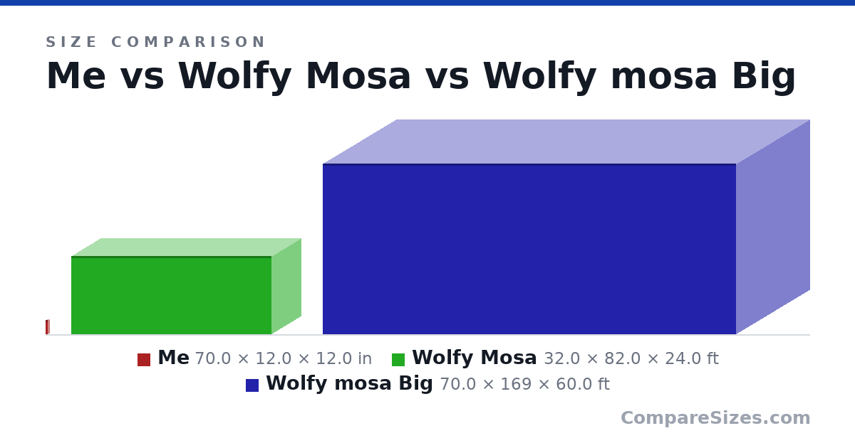 Size comparison of Me (70.0 × 12.0 × 12.0 in), Wolfy Mosa (32.0 × 82.0 × 24.0 ft) and Wolfy mosa Big (70.0 × 169 × 60.0 ft), drawn to scale