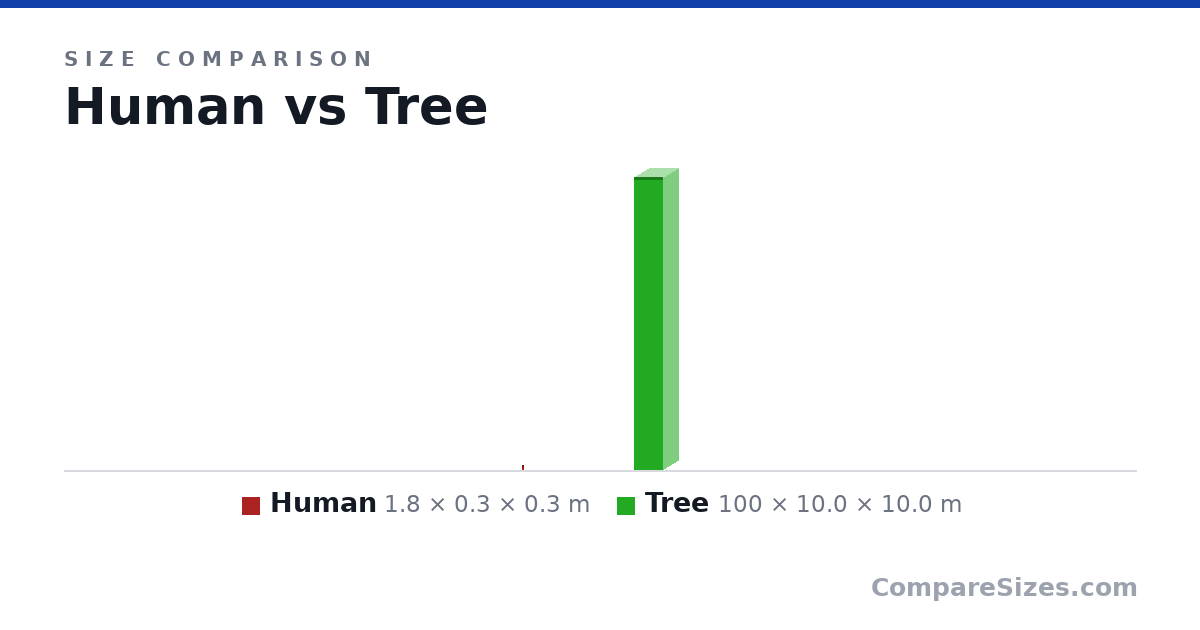 Size comparison of Human (1.8 × 0.3 × 0.3 m) and Tree (100 × 10.0 × 10.0 m), drawn to scale