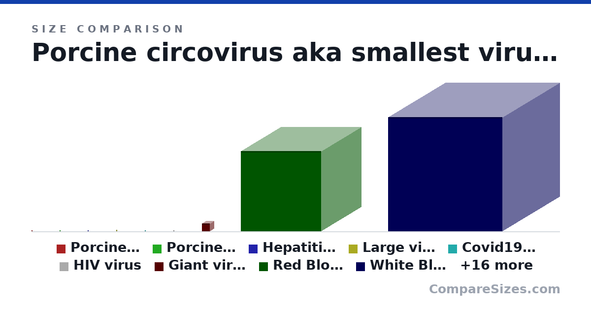 Size comparison of Porcine circovirus aka smallest virus (17.0 × 17.0 × 17.0 nm), Porcine circovirus (19.0 × 15.0 × 17.0 nm), Hepatitis Virus (45.0 × 45.0 × 45.0 nm), Large virus (Orthomyxoviruses) (120 × 60.0 × 60.0 nm), Covid19 virus (90.0 × 90.0 × 90.0 nm), HIV virus (100 × 100 × 100 nm), and 19 more, drawn to scale