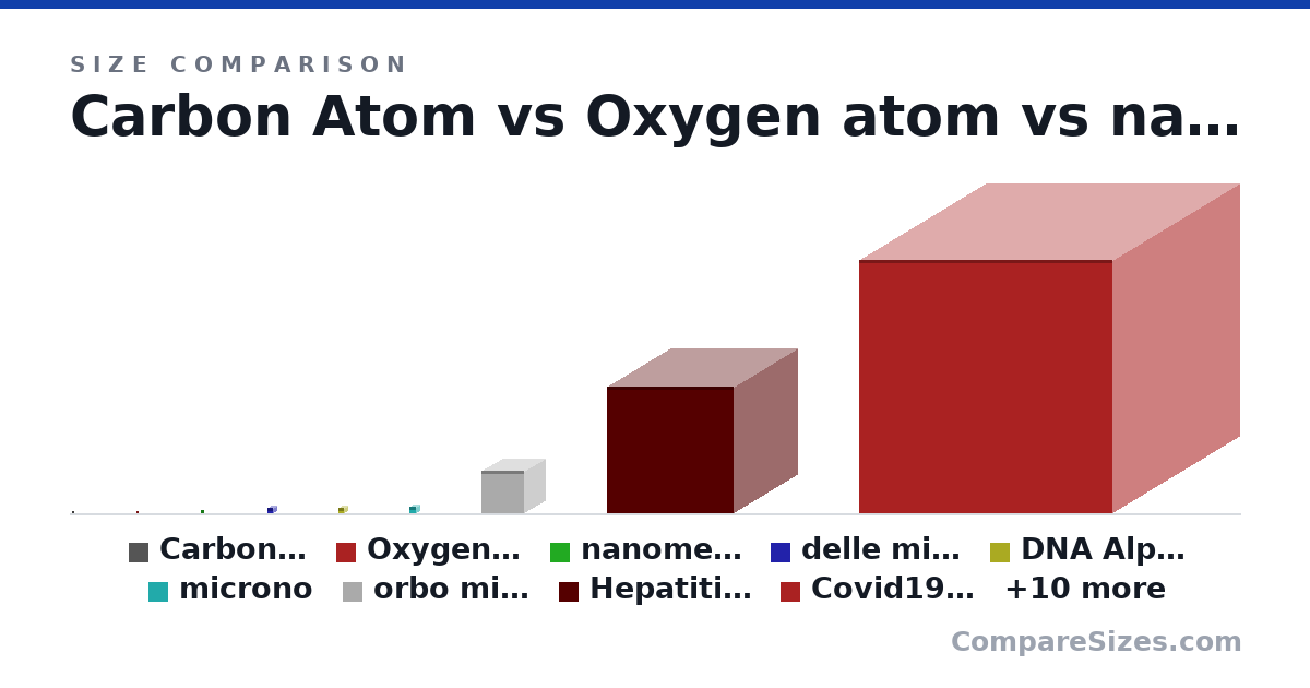 Size comparison of Carbon Atom (0.34 × 0.34 × 0.34 nm), Oxygen atom (0.34 × 0.34 × 0.34 nm), nanometer (1 × 1 × 1 nm), delle microno (2 × 2 × 2 nm), DNA Alpha Helix (2 × 2 × 2 nm), microno (2.5 × 2.5 × 2.5 nm), and 13 more, drawn to scale