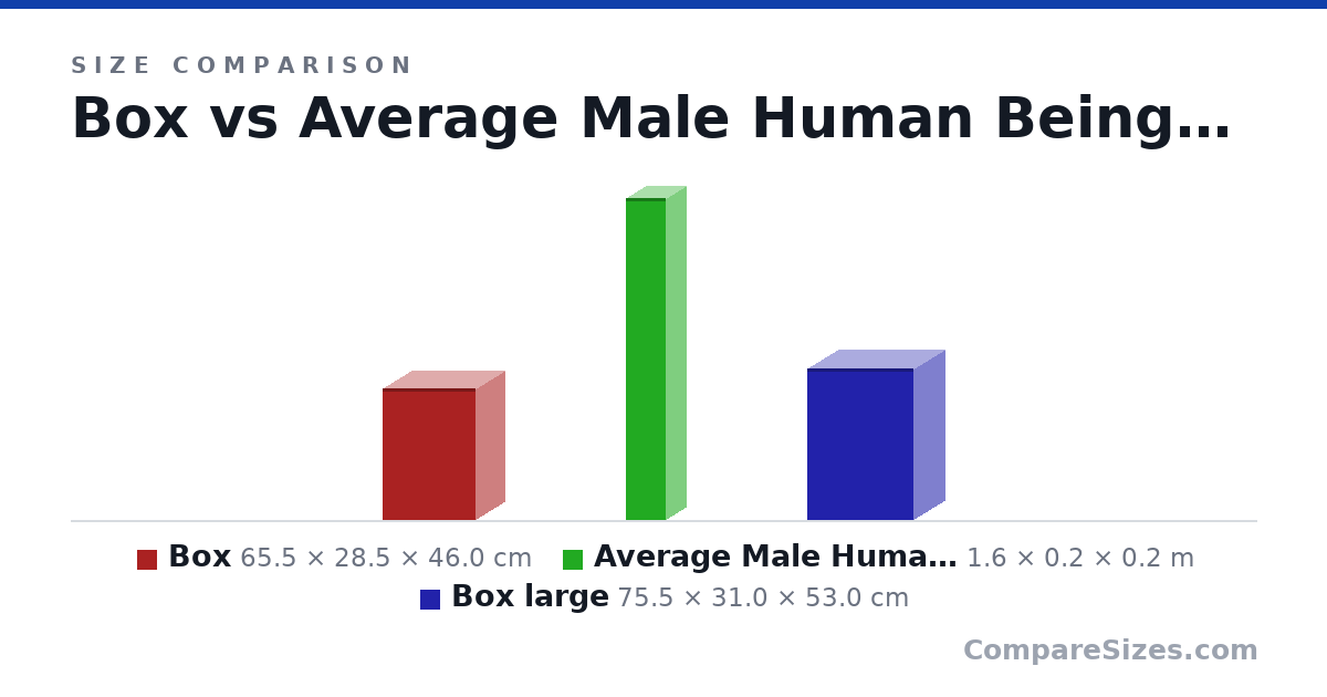 Size comparison of Box (65.5 × 28.5 × 46.0 cm), Average Male Human Being (1.6 × 0.2 × 0.2 m) and Box large (75.5 × 31.0 × 53.0 cm), drawn to scale
