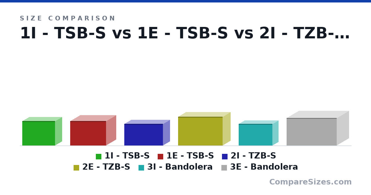 Size comparison of 1I - TSB-S (17.0 × 23.0 × 10.0 cm), 1E - TSB-S (17.0 × 25.0 × 14.0 cm), 2I - TZB-S (15.0 × 27.0 × 10.0 cm), 2E - TZB-S (20.0 × 31.0 × 11.0 cm), 3I - Bandolera (15.0 × 23.5 × 8.5 cm) and 3E - Bandolera (19.0 × 35.0 × 17.0 cm), drawn to scale