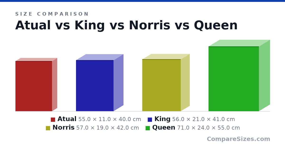 Size comparison of Atual (55.0 × 11.0 × 40.0 cm), King (56.0 × 21.0 × 41.0 cm), Norris (57.0 × 19.0 × 42.0 cm) and Queen (71.0 × 24.0 × 55.0 cm), drawn to scale