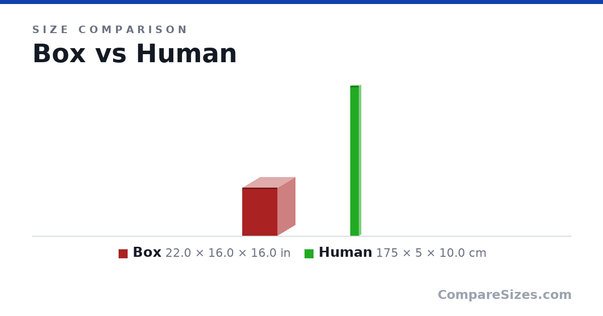 Size comparison of Box (22.0 × 16.0 × 16.0 in) and Human (175 × 5 × 10.0 cm), drawn to scale