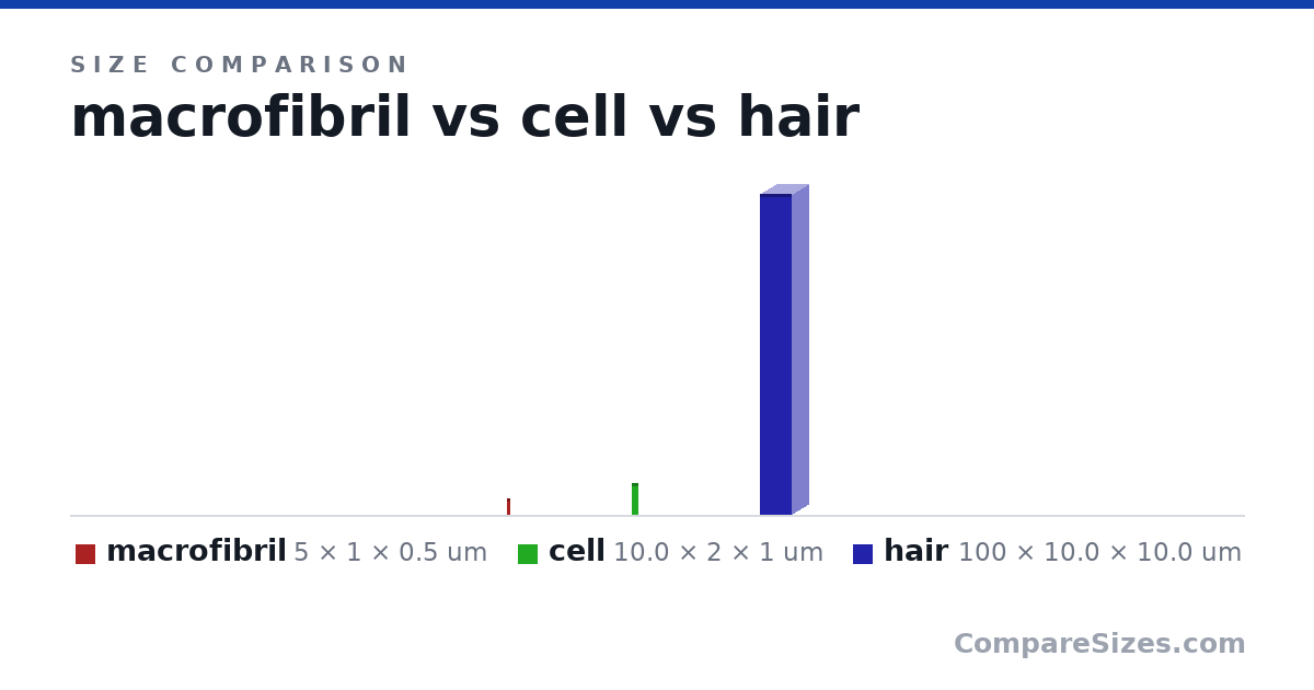 Size comparison of macrofibril (5 × 1 × 0.5 um), cell (10.0 × 2 × 1 um) and hair (100 × 10.0 × 10.0 um), drawn to scale