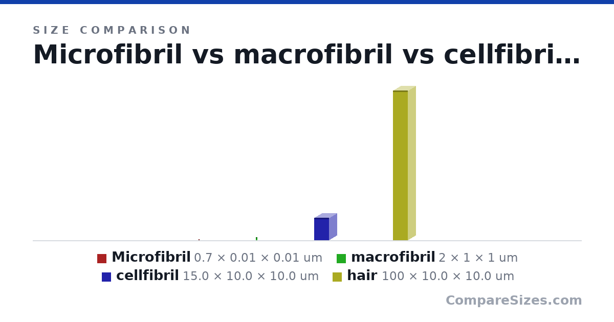 Size comparison of Microfibril (0.7 × 0.01 × 0.01 um), macrofibril (2 × 1 × 1 um), cellfibril (15.0 × 10.0 × 10.0 um) and hair (100 × 10.0 × 10.0 um), drawn to scale