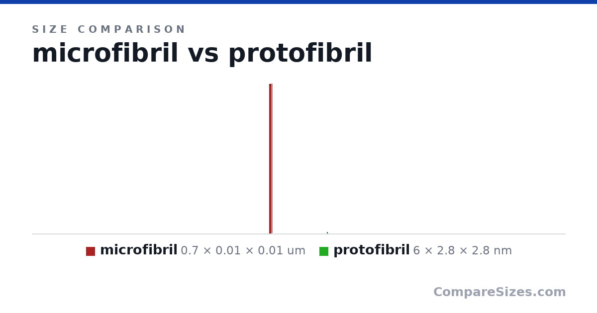 Size comparison of microfibril (0.7 × 0.01 × 0.01 um) and protofibril (6 × 2.8 × 2.8 nm), drawn to scale