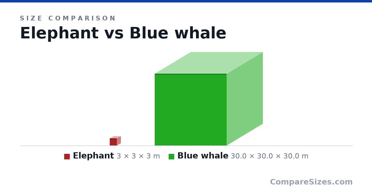 Size comparison of Elephant (3 × 3 × 3 m) and Blue whale (30.0 × 30.0 × 30.0 m), drawn to scale