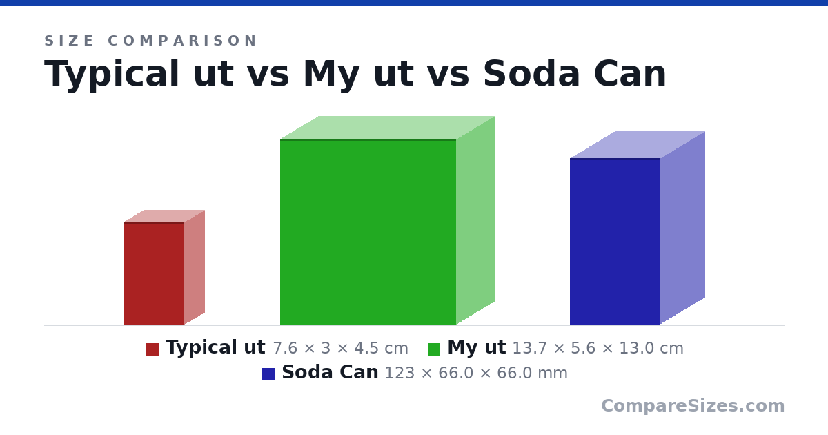 Size comparison of Typical ut (7.6 × 3 × 4.5 cm), My ut (13.7 × 5.6 × 13.0 cm) and Soda Can (123 × 66.0 × 66.0 mm), drawn to scale