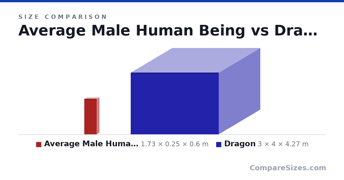 Size comparison of Average Male Human Being (1.73 × 0.25 × 0.6 m) and Dragon (3 × 4 × 4.27 m), drawn to scale