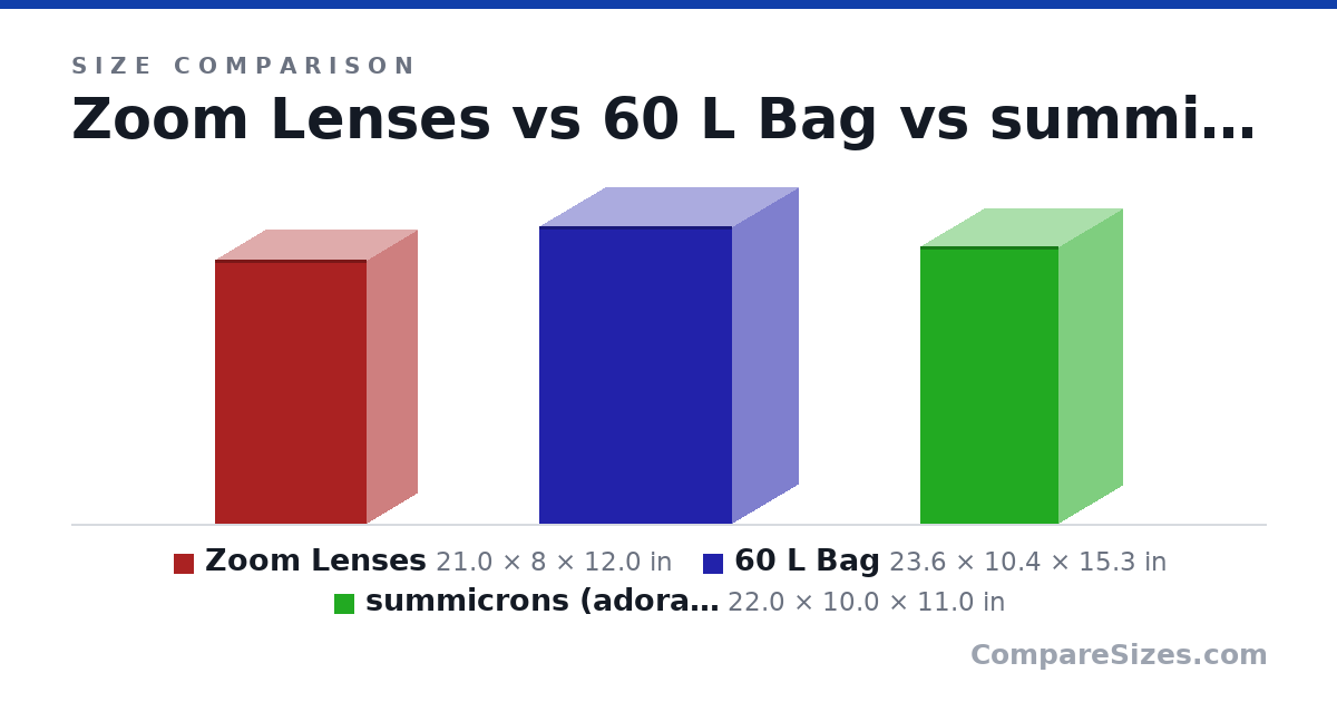 Size comparison of Zoom Lenses (21.0 × 8 × 12.0 in), 60 L Bag (23.6 × 10.4 × 15.3 in) and summicrons (adorama) (22.0 × 10.0 × 11.0 in), drawn to scale