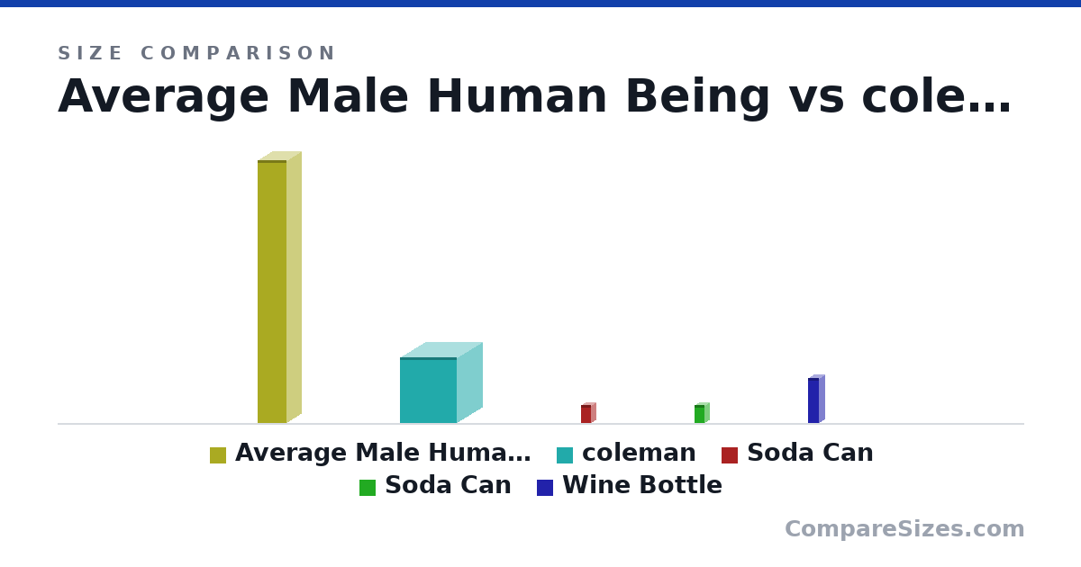Size comparison of Average Male Human Being (1.8 × 0.2 × 0.2 m), coleman (45.0 × 34.0 × 39.0 cm), Soda Can (123 × 66.0 × 66.0 mm), Soda Can (123 × 66.0 × 66.0 mm) and Wine Bottle (307 × 76.7 × 76.7 mm), drawn to scale