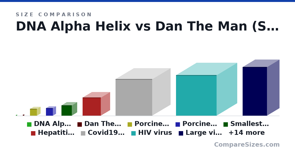 Size comparison of DNA Alpha Helix (2 × 2 × 2 nm), Dan The Man (Smallest Size) (2.24 × 2.24 × 2.24 nm), Porcine circovirus aka smallest virus (17.0 × 17.0 × 17.0 nm), Porcine circovirus (19.0 × 15.0 × 17.0 nm), Smallest thing I have made (0 × 0 × 0 in), Hepatitis Virus (45.0 × 45.0 × 45.0 nm), and 17 more, drawn to scale