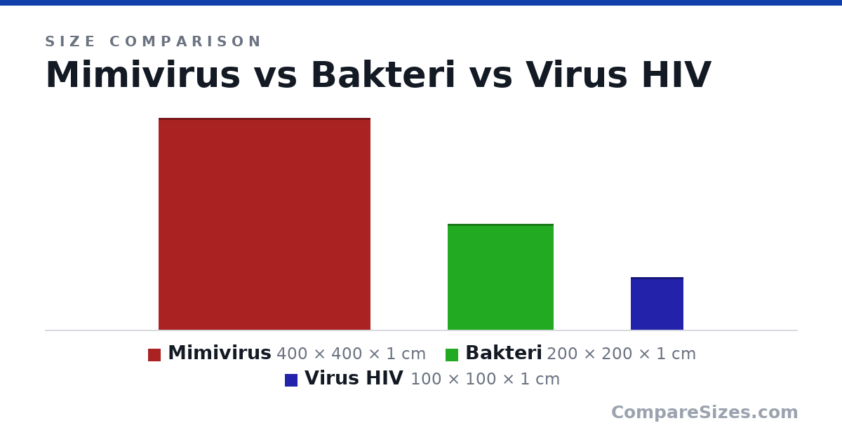 Size comparison of Mimivirus (400 × 400 × 1 cm), Bakteri (200 × 200 × 1 cm) and Virus HIV (100 × 100 × 1 cm), drawn to scale