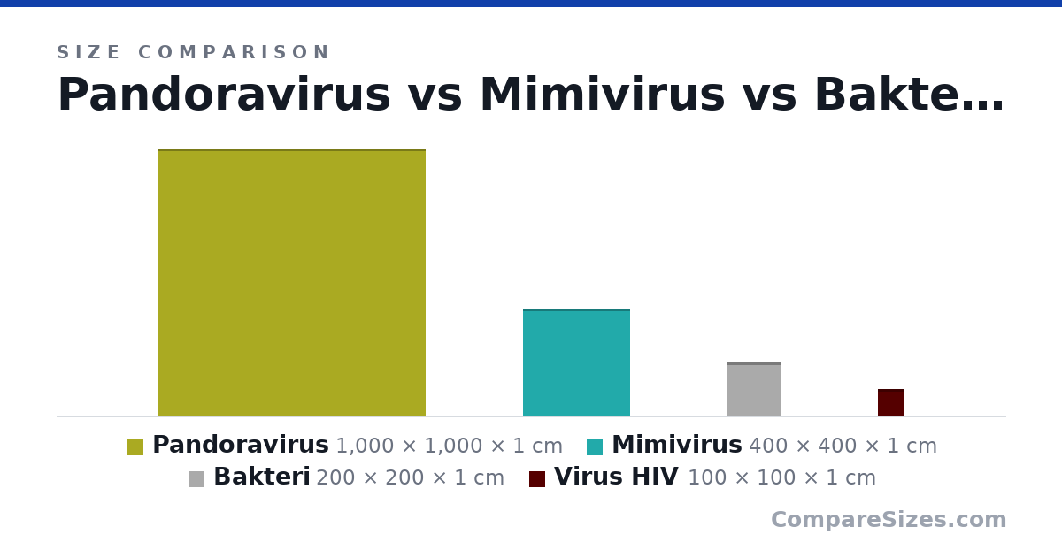 Size comparison of Pandoravirus (1,000 × 1,000 × 1 cm), Mimivirus (400 × 400 × 1 cm), Bakteri (200 × 200 × 1 cm) and Virus HIV (100 × 100 × 1 cm), drawn to scale