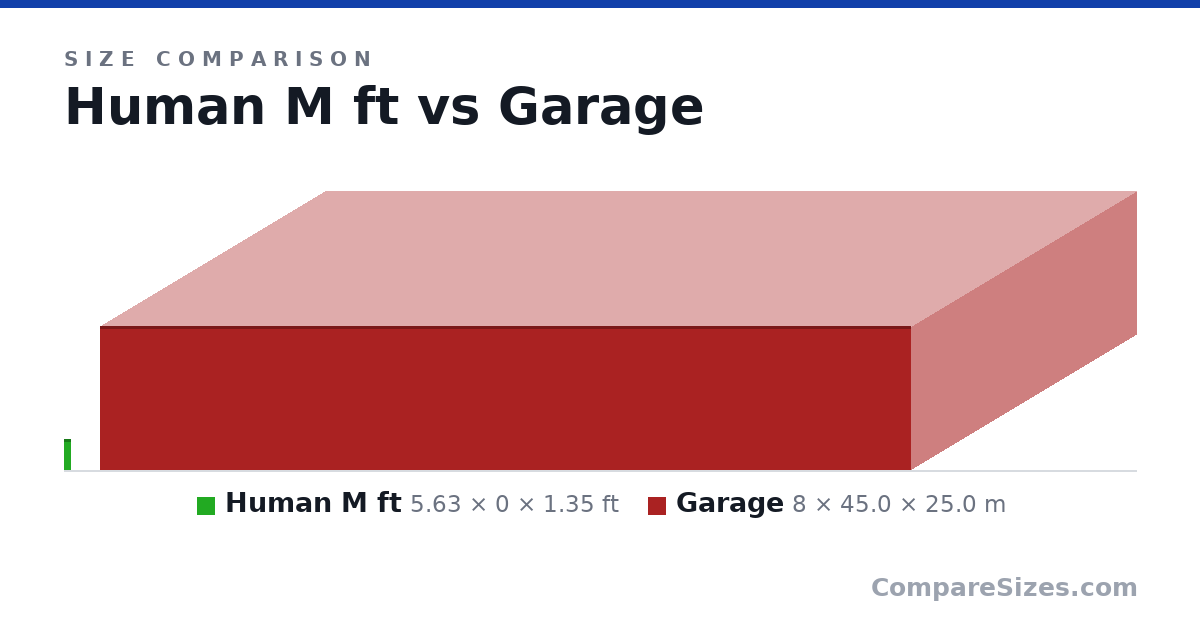 Size comparison of Human M ft (5.63 × 0 × 1.35 ft) and Garage (8 × 45.0 × 25.0 m), drawn to scale