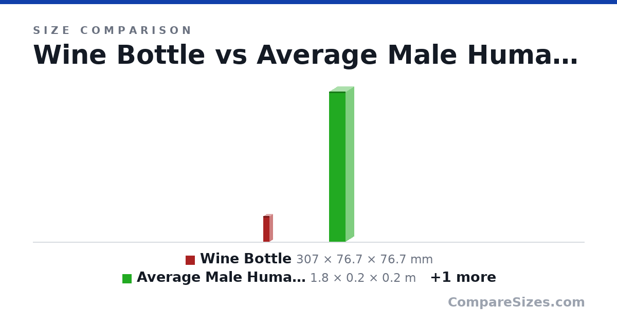 Size comparison of Wine Bottle (307 × 76.7 × 76.7 mm), Average Male Human Being (1.8 × 0.2 × 0.2 m) and Human F ft.in (5.03 × 1.02 × 1.02 ft), drawn to scale